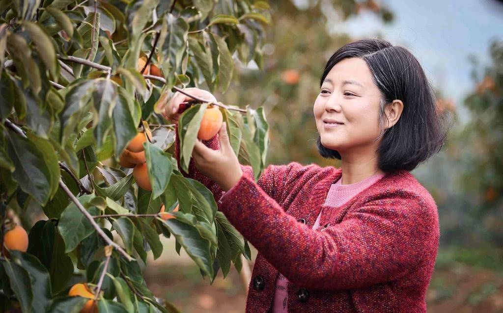 像大家非常熟悉的《和平年代》里的杜鹃女,《当家的女人》里的张菊香