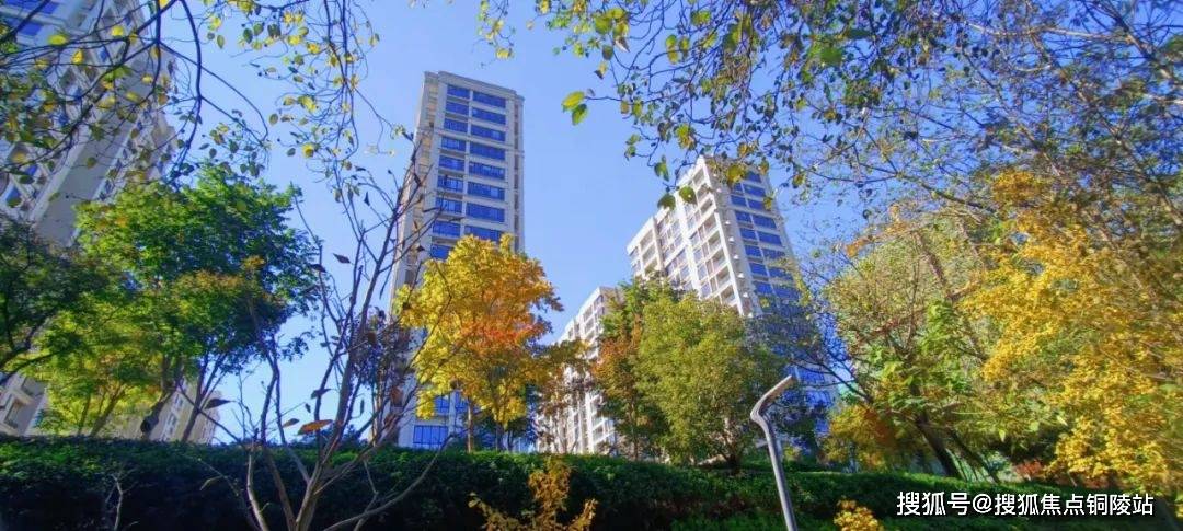 【官方】安吉【银色港湾】售楼处电话-地址-户型!官方最新详情解读!