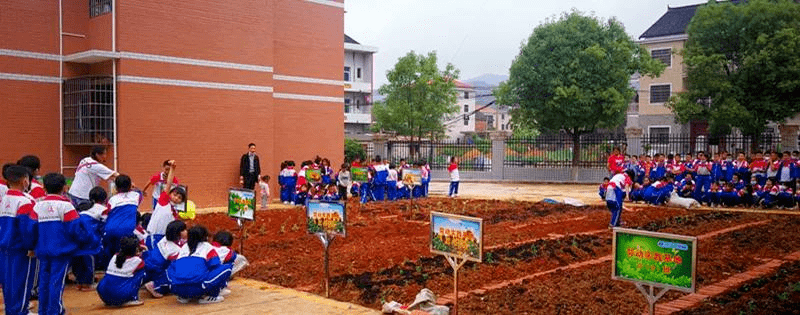 在学校办开心农场三一究竟在做什么