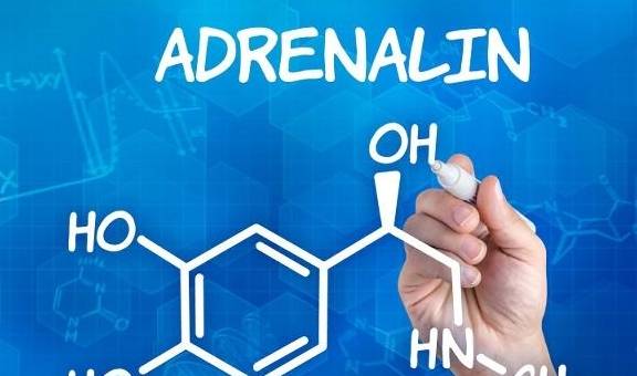 肾上腺素飙升是什么意思