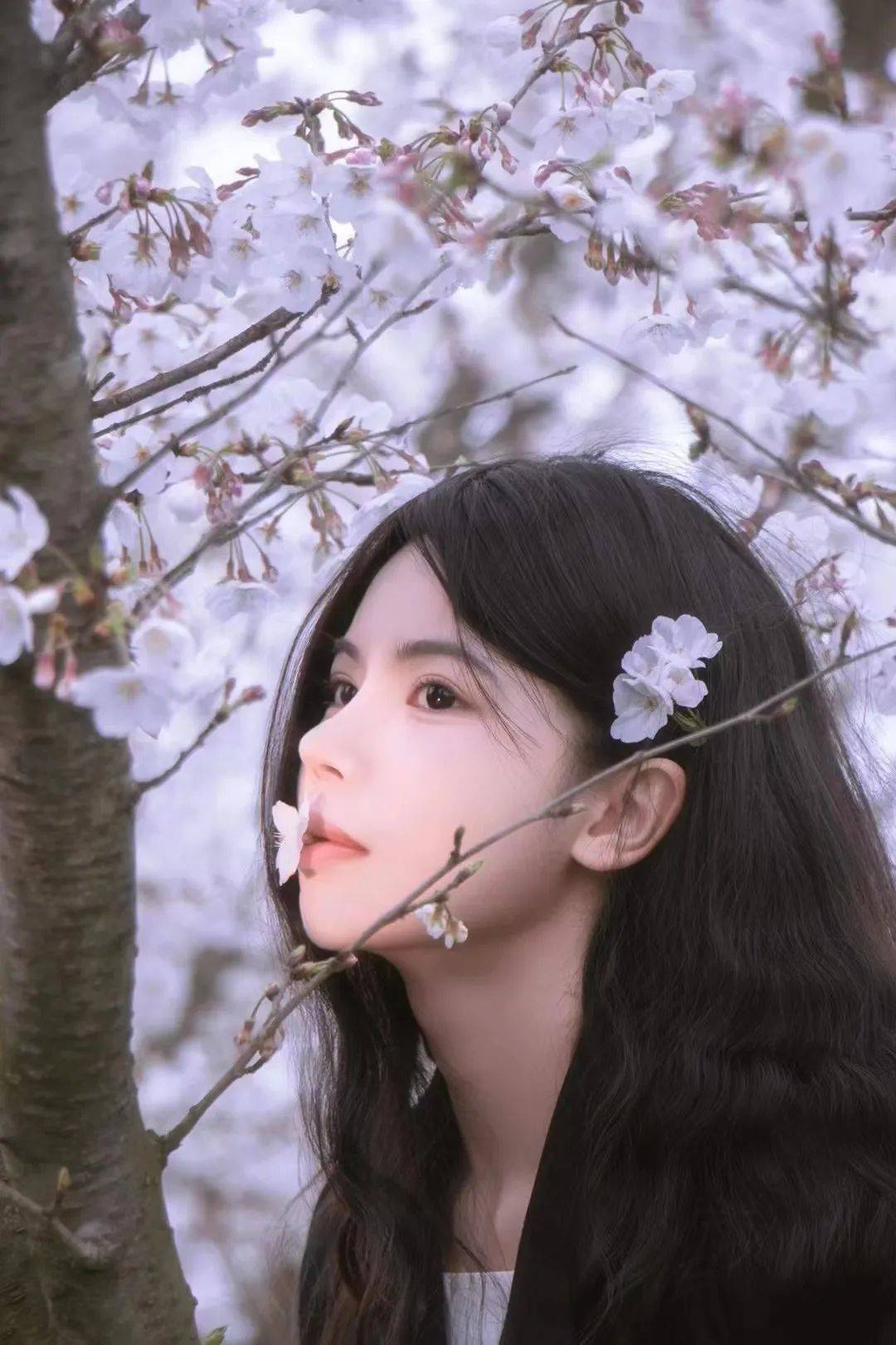 人比花娇，美少女也社恐？_搜狐网, image size:1080x1620