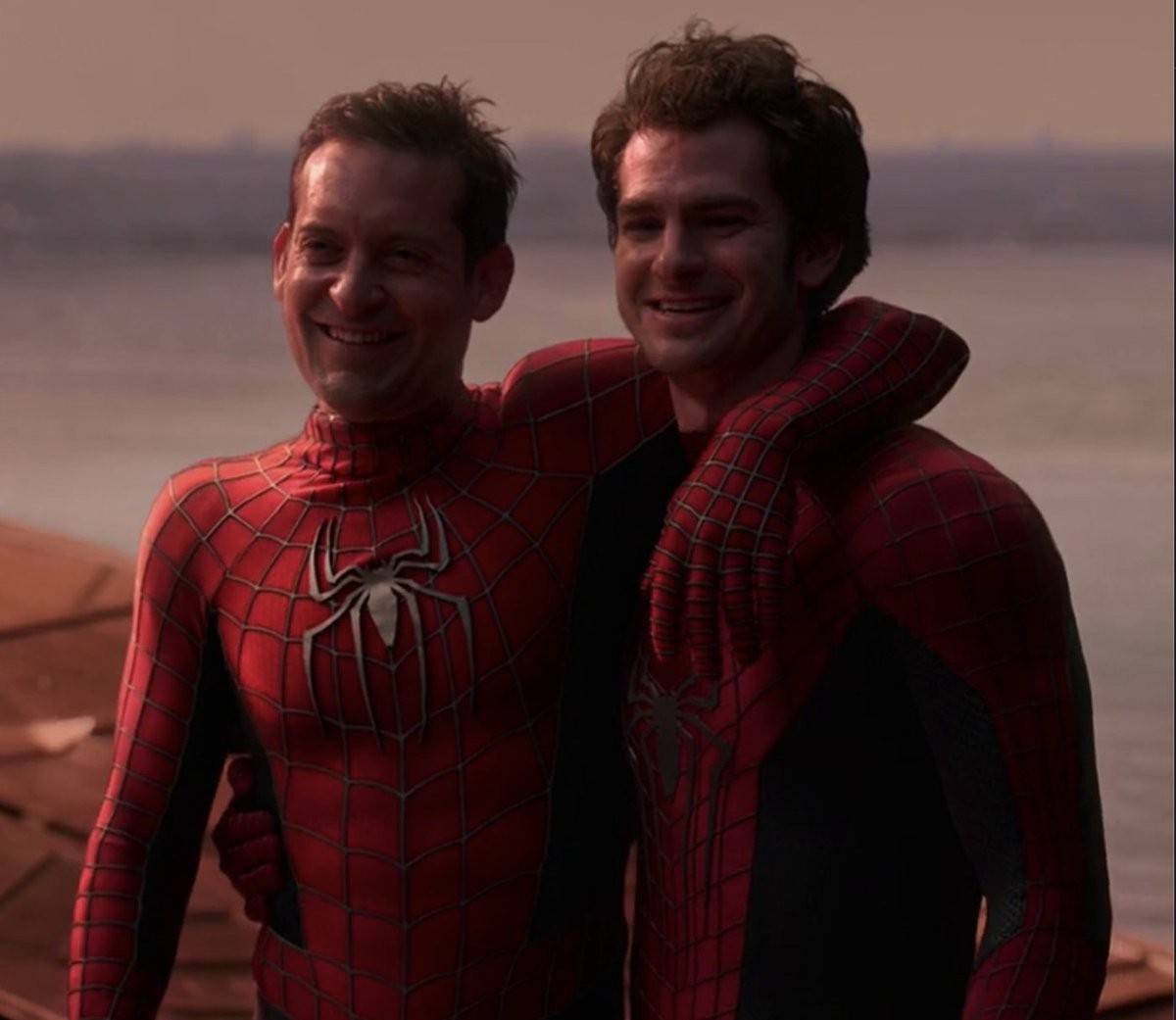 加菲托比观看杨紫琼新片,瞬息全宇宙一蛛缺席,网友:推广大使_蜘蛛侠