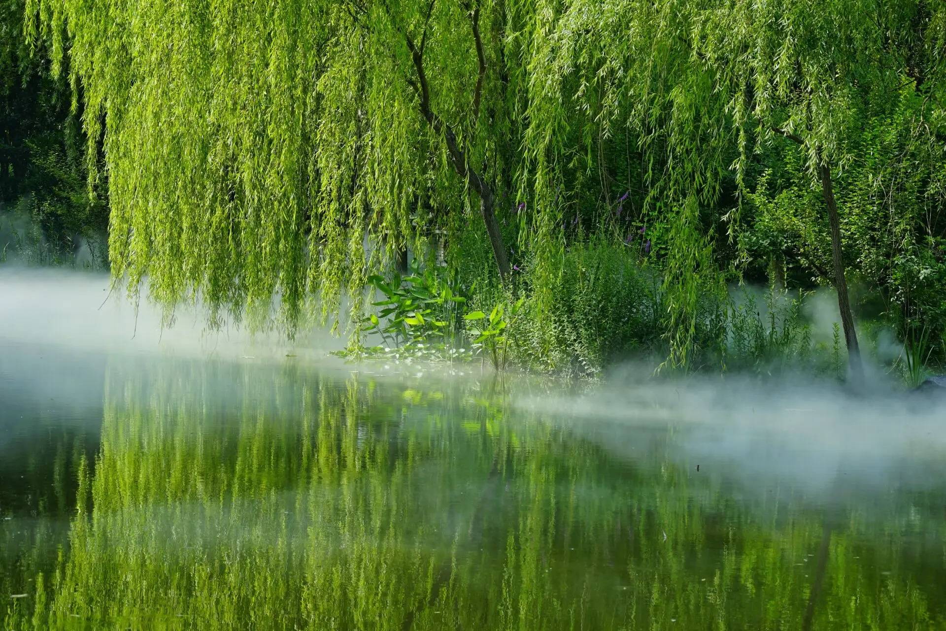 欧阳修词里的春天,杨柳堆烟,飞絮濛濛,如此凄美