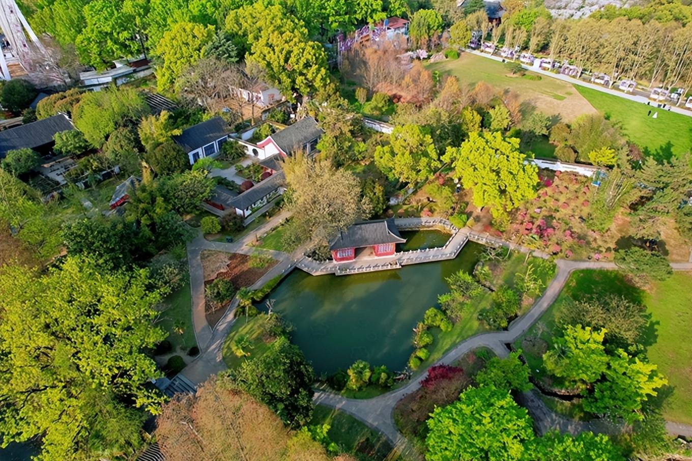 原创航拍武汉东湖磨山看晚樱盛开今年最后的云赏樱错过再等一年