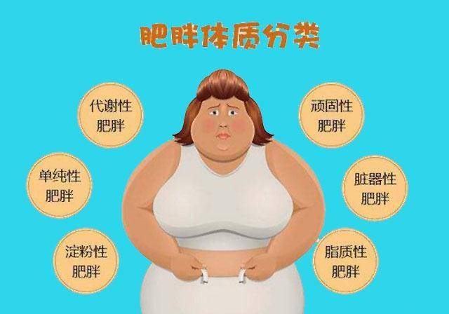三个容易“吃胖”的时间点，了解一下，肥胖会离你比较远_能量_补充_身体