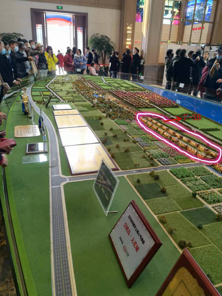 崇明岛·大爱城属于上海吗？_搜狐网