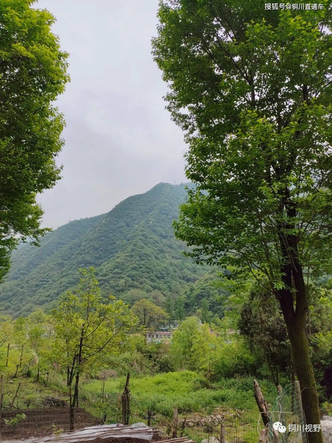 初春踏青终南山下鄠邑区尖山风光
