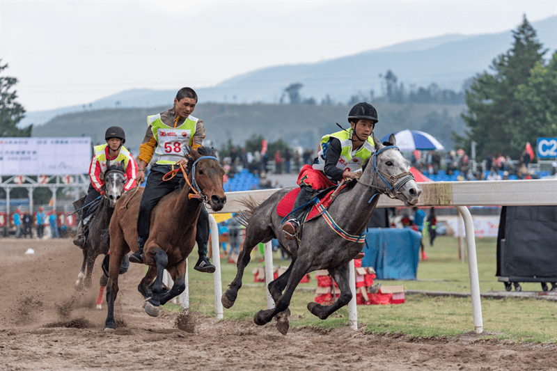 乡愁大理乘风大理三月街