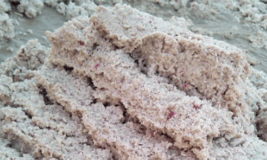 红薯渣养什么动物好红薯渣能不能直接喂羊