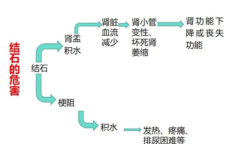 尿路结石怎么形成的图片