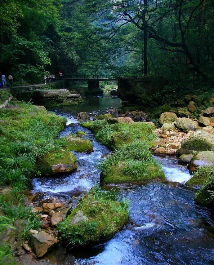 湖南張家界遊玩必去的幾個地方景點