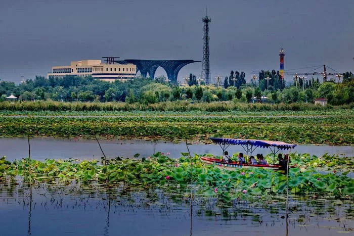衡水值得去的景区,周边植物繁茂,风景优美,门票仅需30元_湖泊_保护区