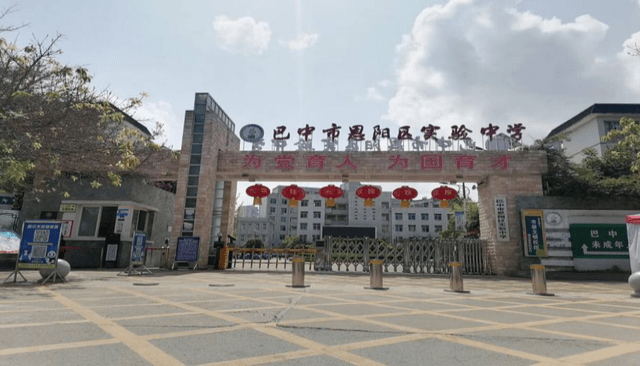 提质减负落实处多元并举谋发展