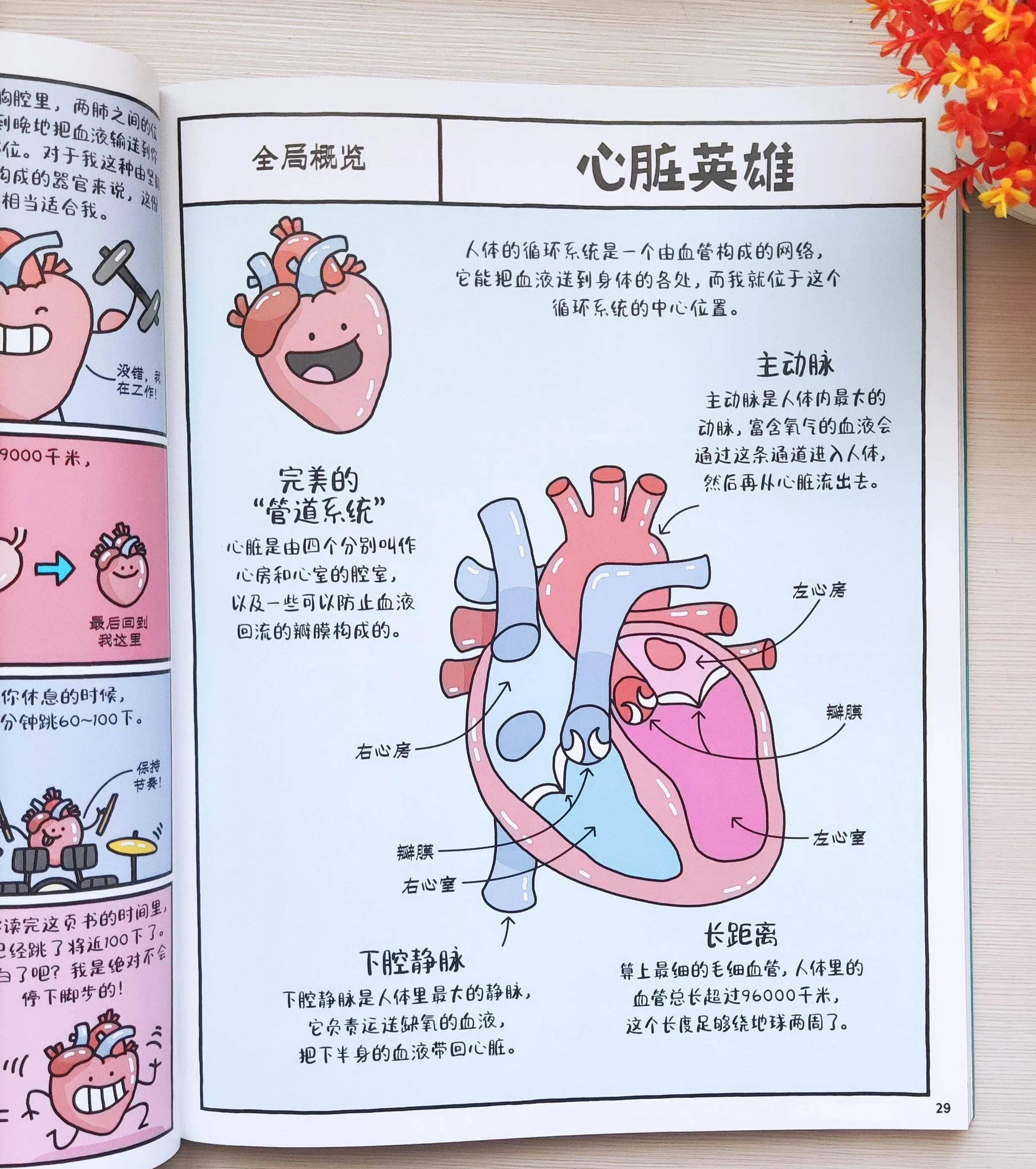 人体奥秘科普说明文图片