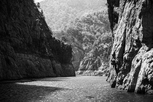 重庆的黑峡谷，全长十三公里，长在悬崖边上的植物，还能俯瞰峡谷