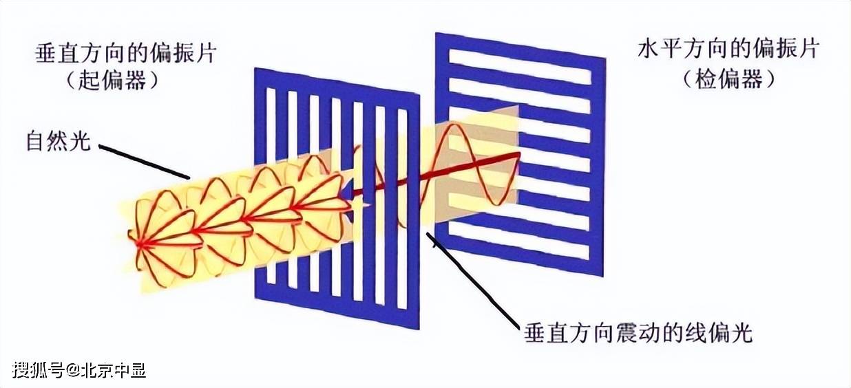 偏振片原理图图片