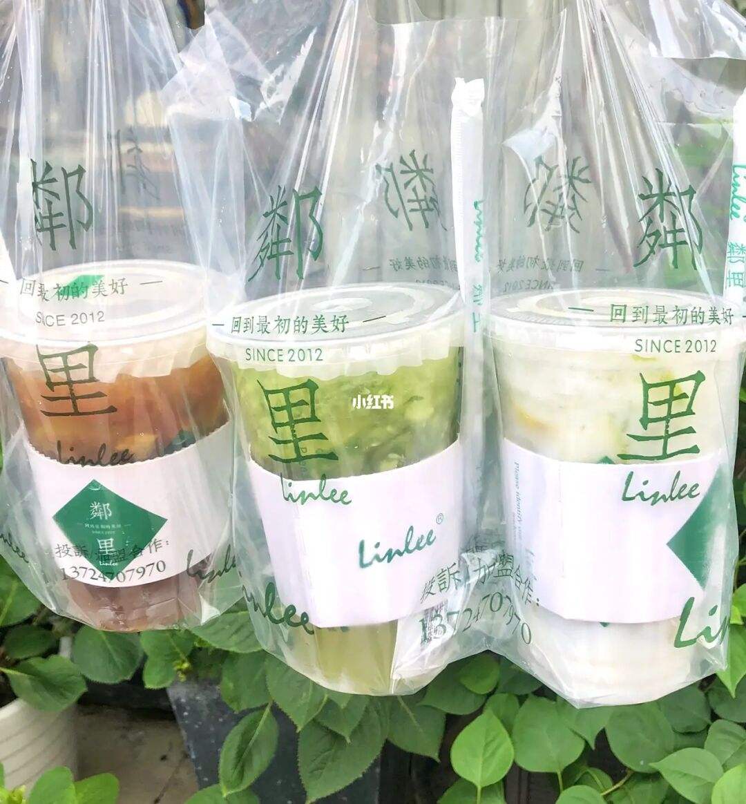 奶茶与柠檬茶之争的背后……_英歌_邻里_品牌