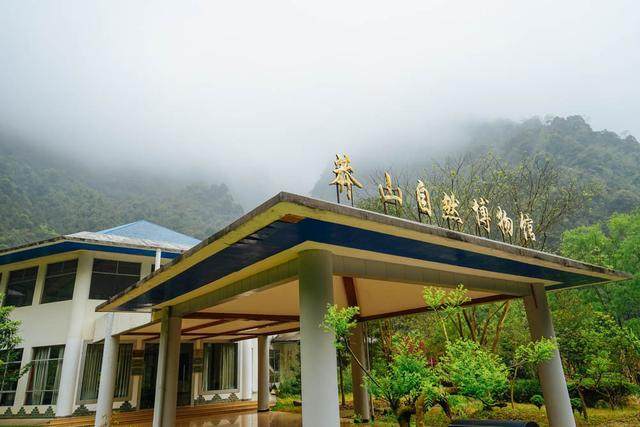 在进入猴王寨景区以前,人们可以在莽山自然博物馆了解生态常识,并且