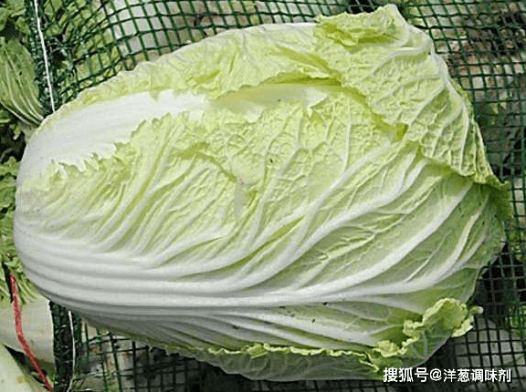 梦境的深意，解析梦见市场全是卖白菜的潜在象征与心理暗示