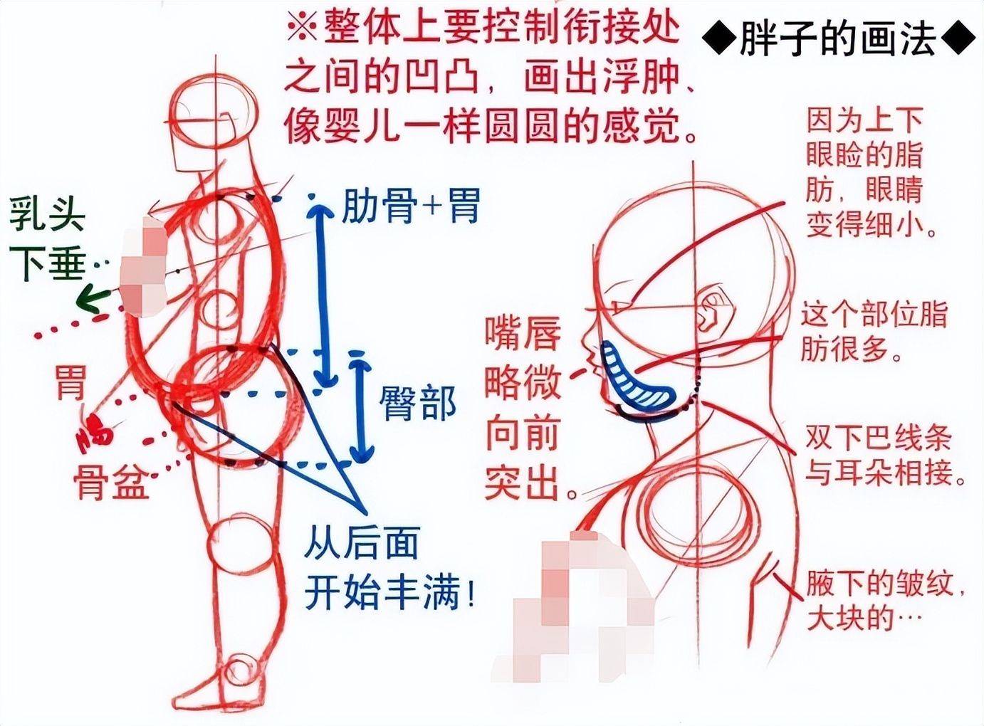 教你胖子和瘦子的畫法區別!_靈貓_課堂_凹凸