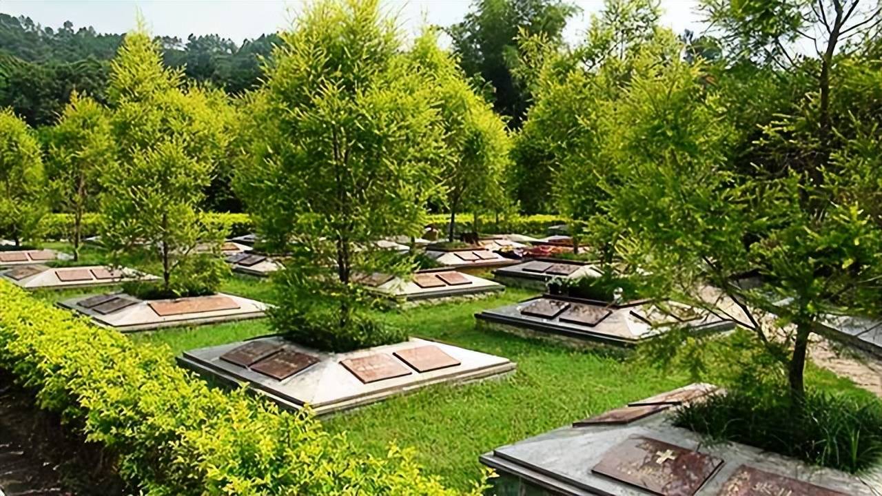 树葬陵园图片