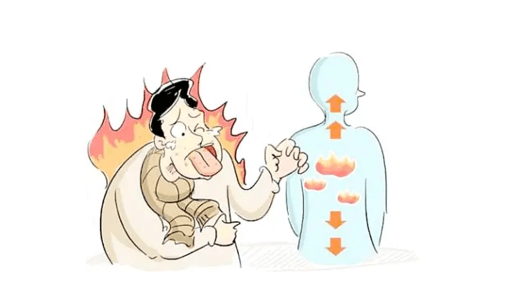 日常饮食要注重粗细结合菊花每天泡上一大杯去火