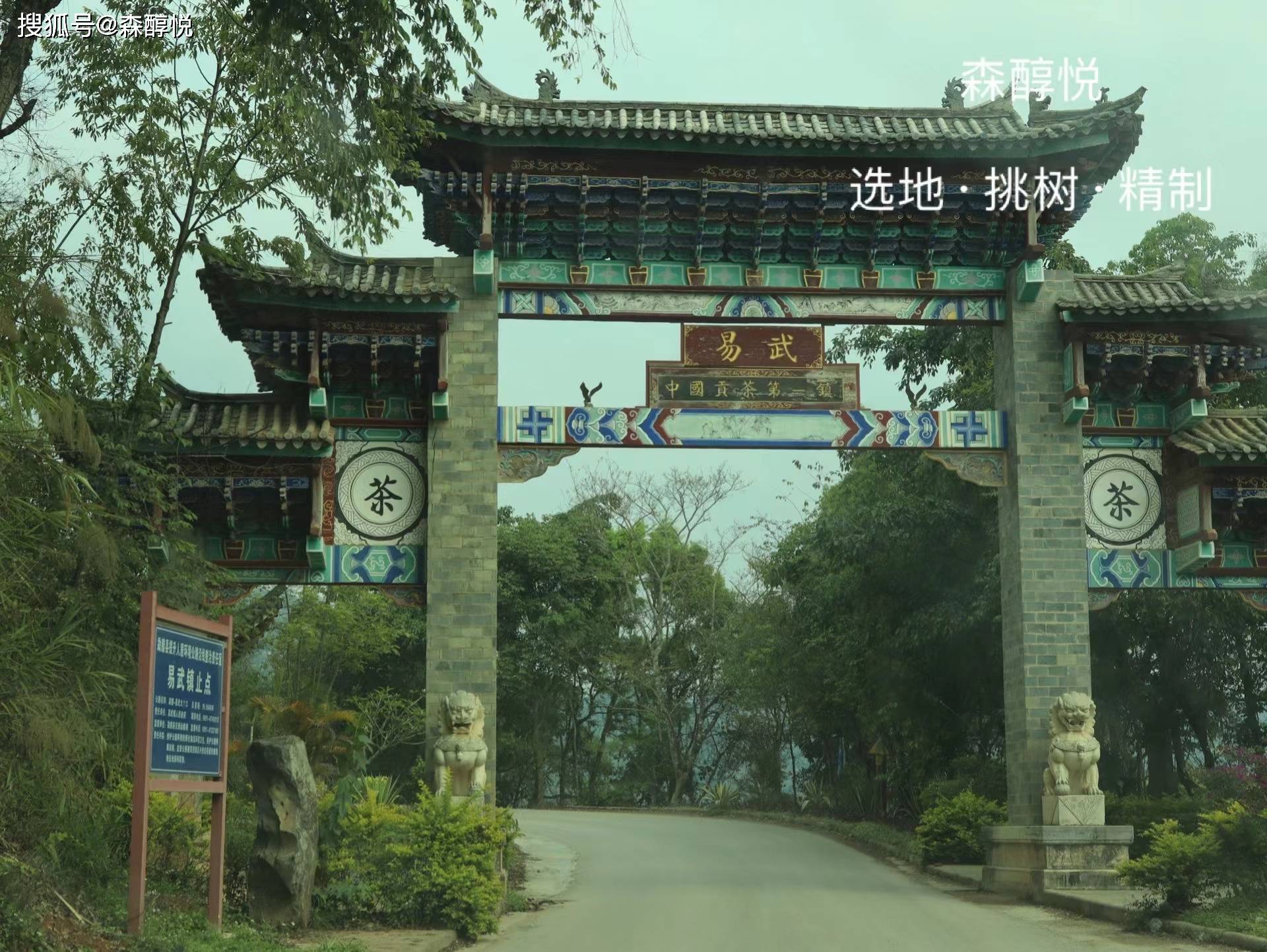 原创古六大茶山之易武茶山