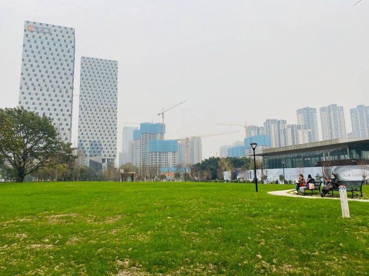 原创成都市区最大的湖泊公园面积420亩像小森林是洗肺的好去处