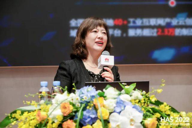 石冀琳华为云持续快速增长践行深耕数字化一切皆服务