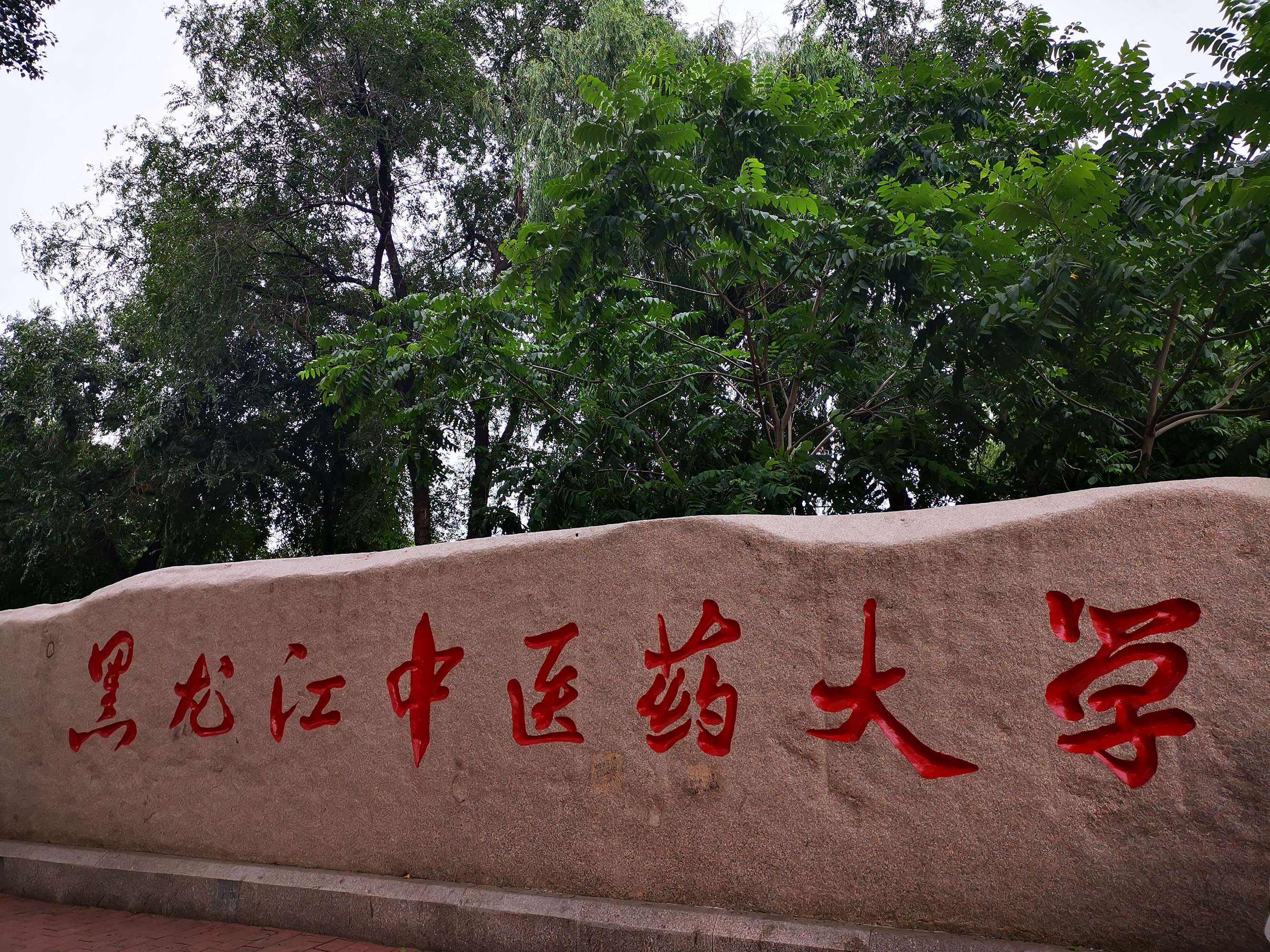 拥有a 学科,却无缘双一流!黑龙江中医药大学距离双一流有多远?_全国_