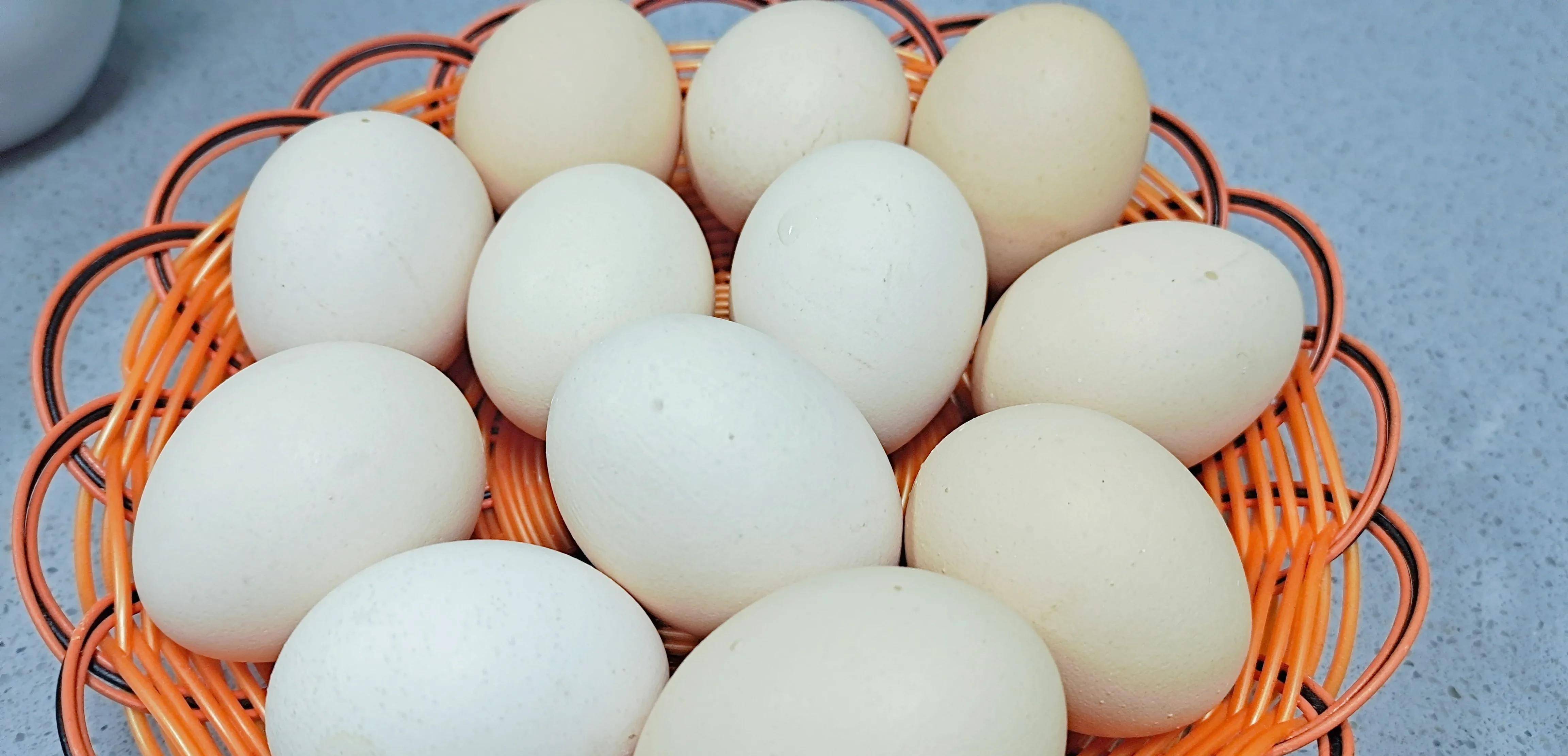 买鸡蛋时红壳白壳绿壳选哪个好农场的老板说漏嘴别买错了