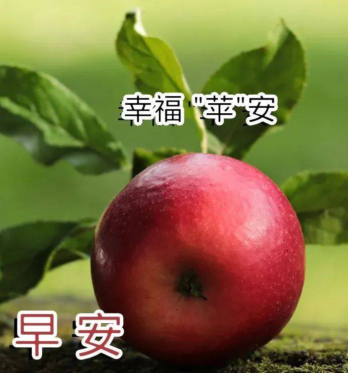 原创2022最漂亮清晨早上好动态表情图片大全春日早晨好动图美图大全