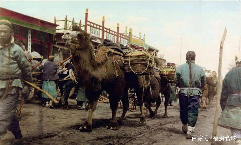 可以想象,这些骆驼商队浩浩荡荡的从西域赶来,在清朝北京的集市里面