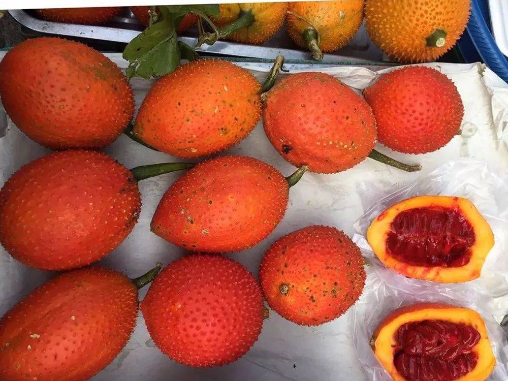 原创榴莲味百香果是什么真的一斤一个还能四季结果小心别被坑了