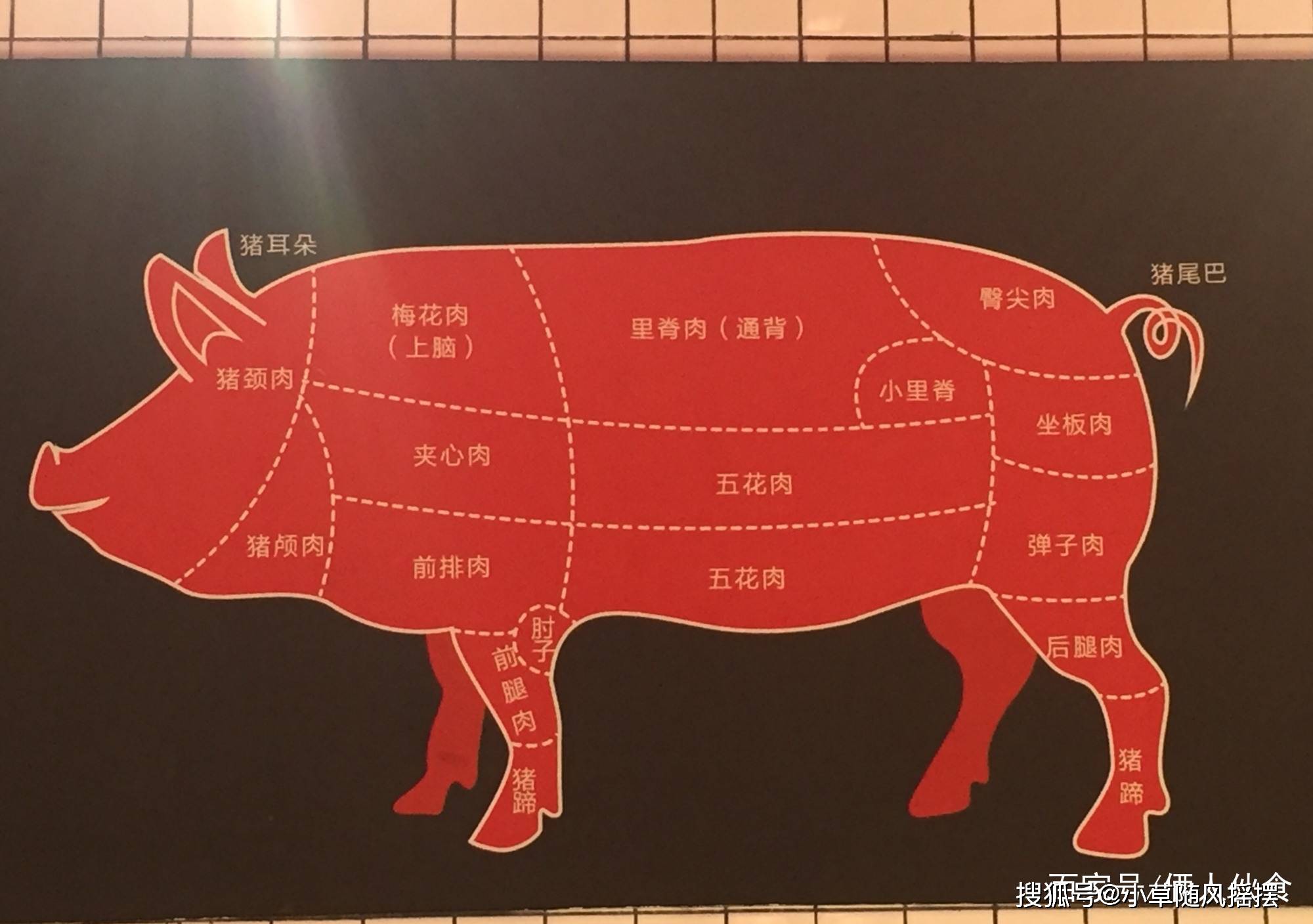 猪肉不同部位图图片