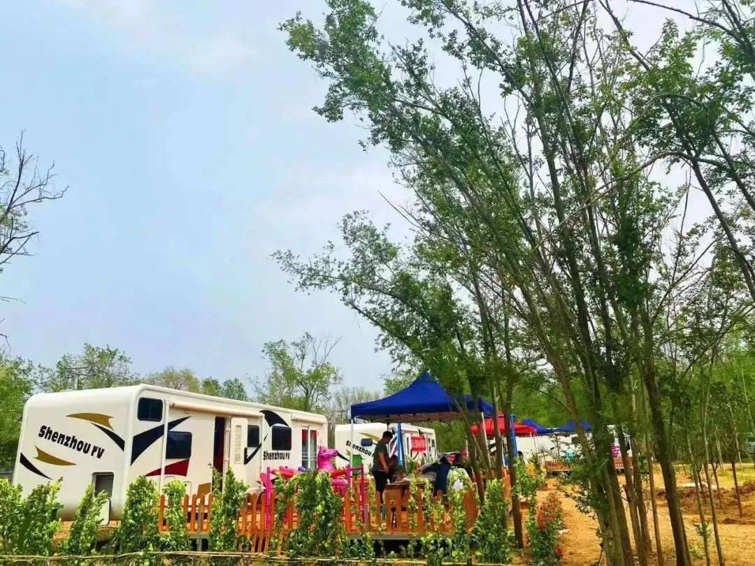 冠县马颊河新晋房车露营打卡地!_木屋_观光_旅行