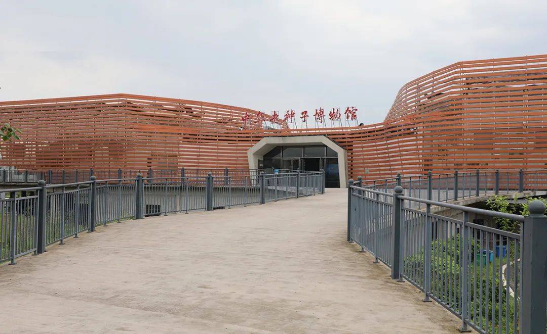 汇智聚力履职助力乡村振兴