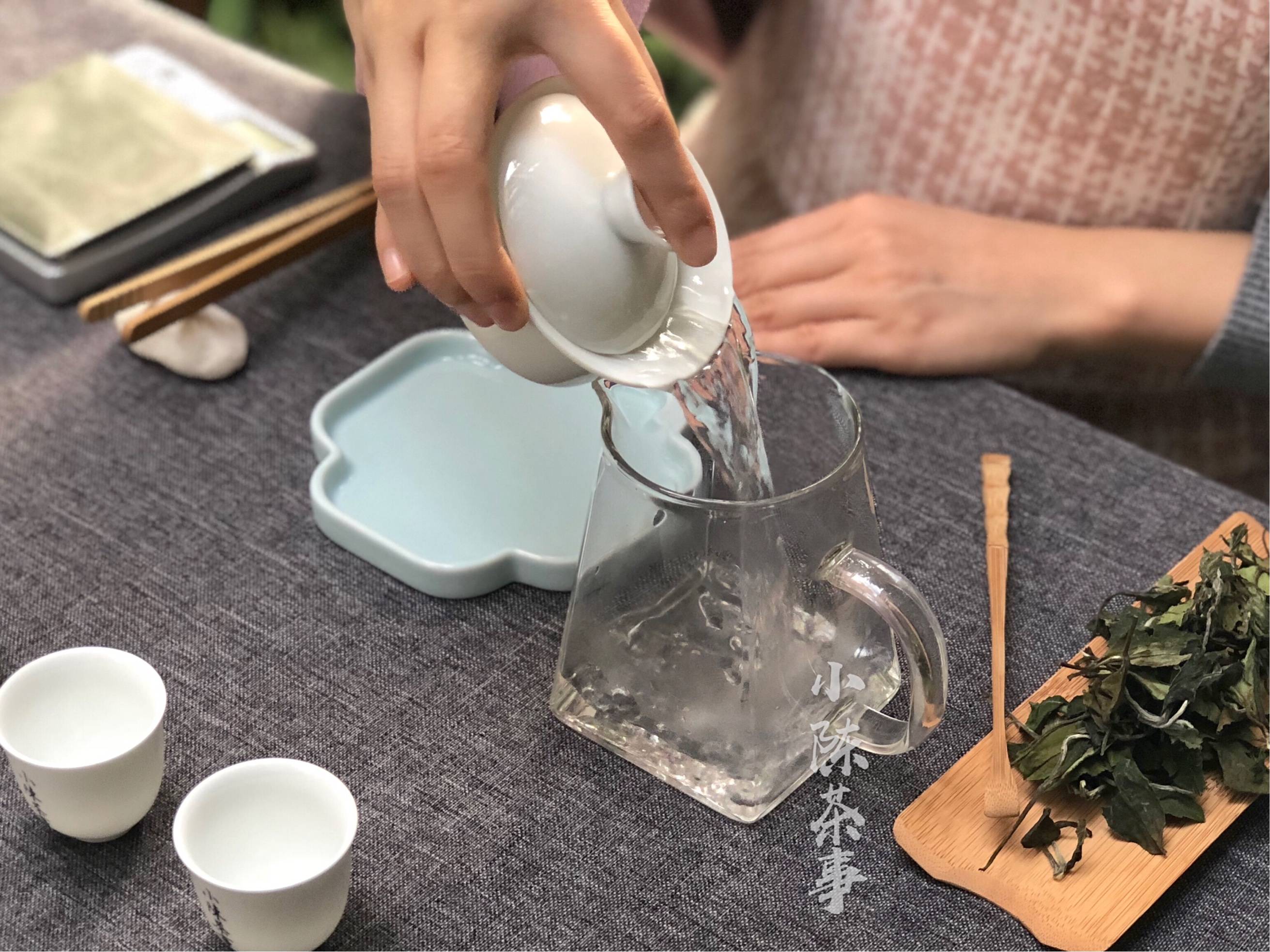 茶具投茶量注水方式5个泡茶技巧可以让白茶更香亲测有效