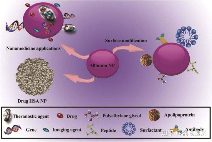 因此,本文的后续内容仅介绍白蛋白纳米粒递送技术
