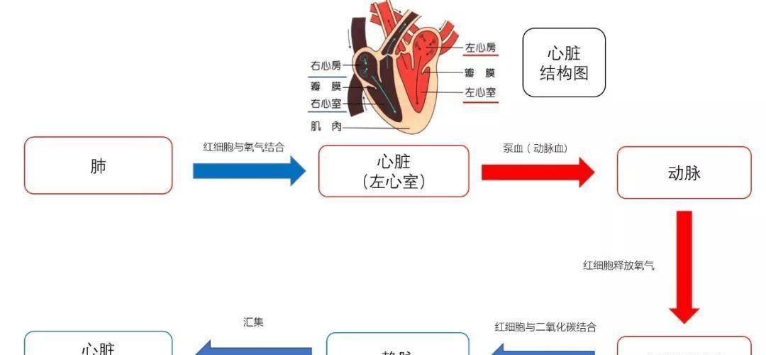 医生是这么说的