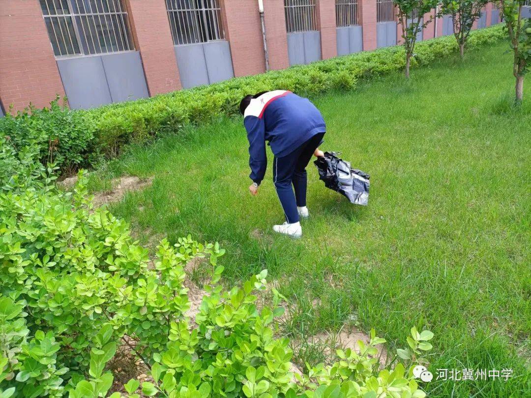 衡水冀州中学开展校园卫生清洁活动，助力全国文明城市创建