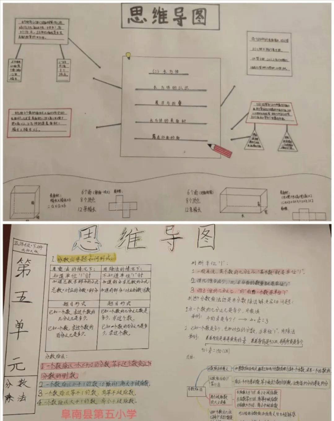 五小作业手抄报内容图片