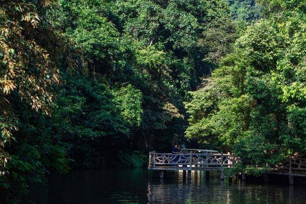 深山中的刺激项目，玻璃桥与丛林飞跃一个不落下，就在柳州！