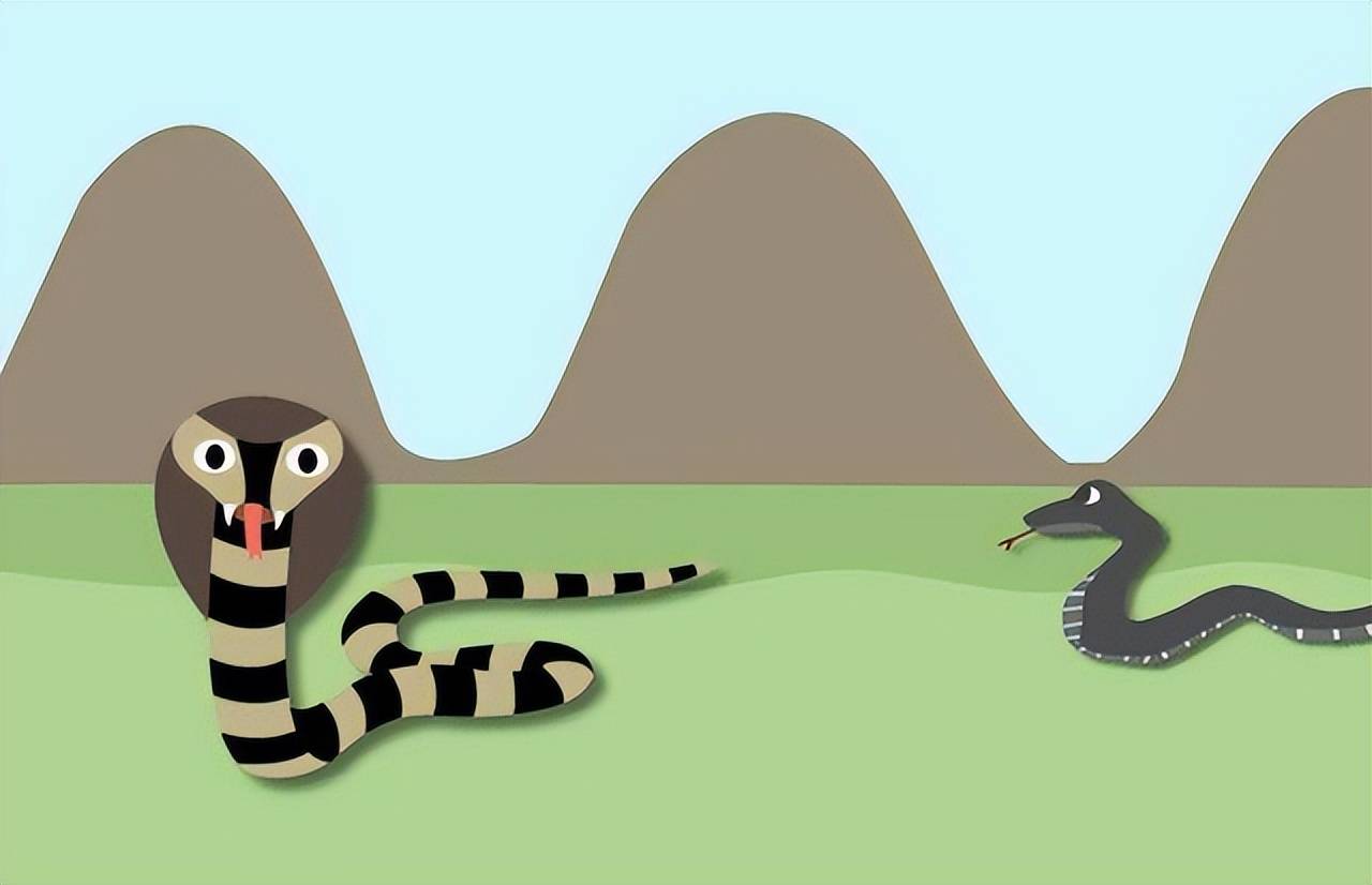 不能放生送去动物园山东抓到眼镜王蛇到底有多可怕