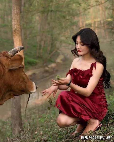 在一些斗牛活动中,斗牛士拿着红色的布条,不断的在牛眼前晃动,牛就会