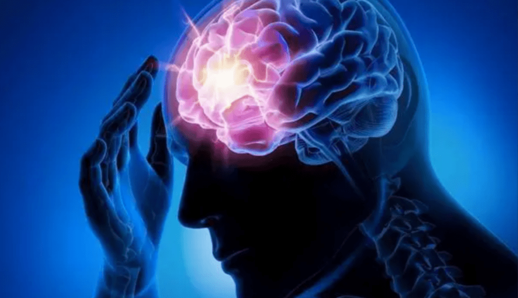 阮病毒直击大脑朊病毒的可怕之处就在于它会直接进攻人和动物的大脑