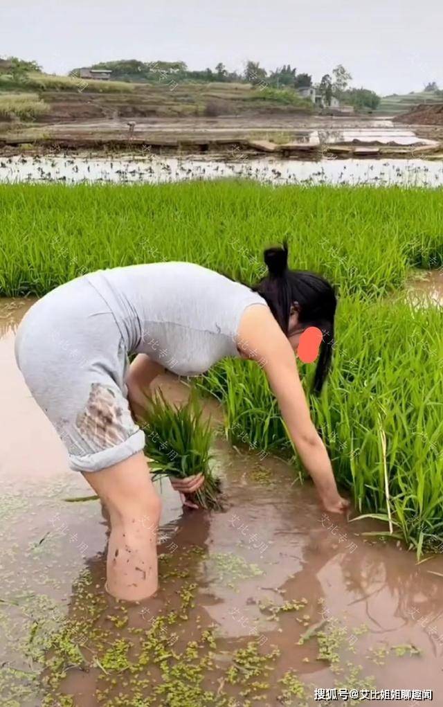 城里儿媳挽起裤腿,在田里干农活,累的腰酸背痛