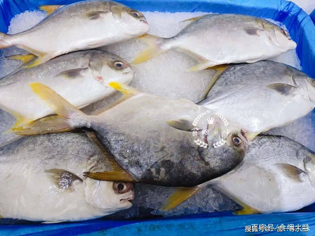 清蒸魚時,忌冷水下鍋,掌握這3點,魚肉不腥不柴,鮮嫩無比_鯧魚_時間