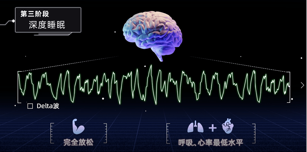 睡眠_阶段_脑电波