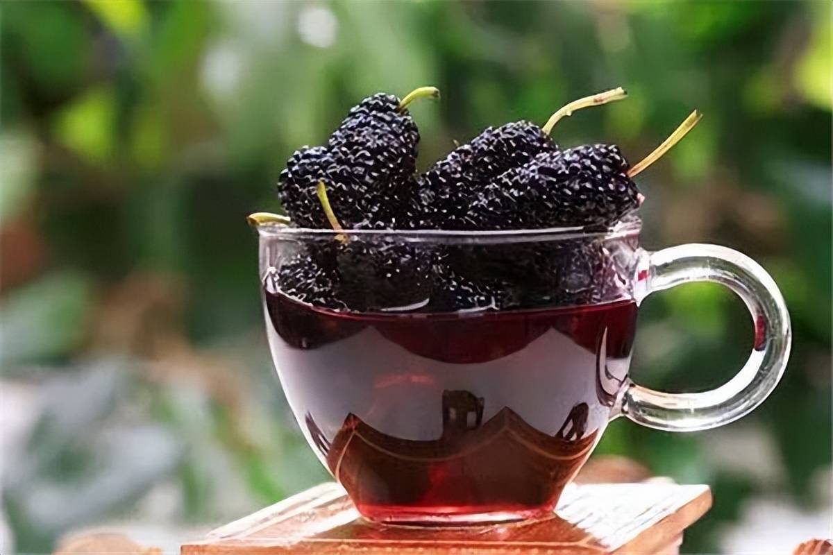 桑葚酒喝过吗?你知道桑葚酒有哪些功效和禁忌吗?_食用_治疗_辅助